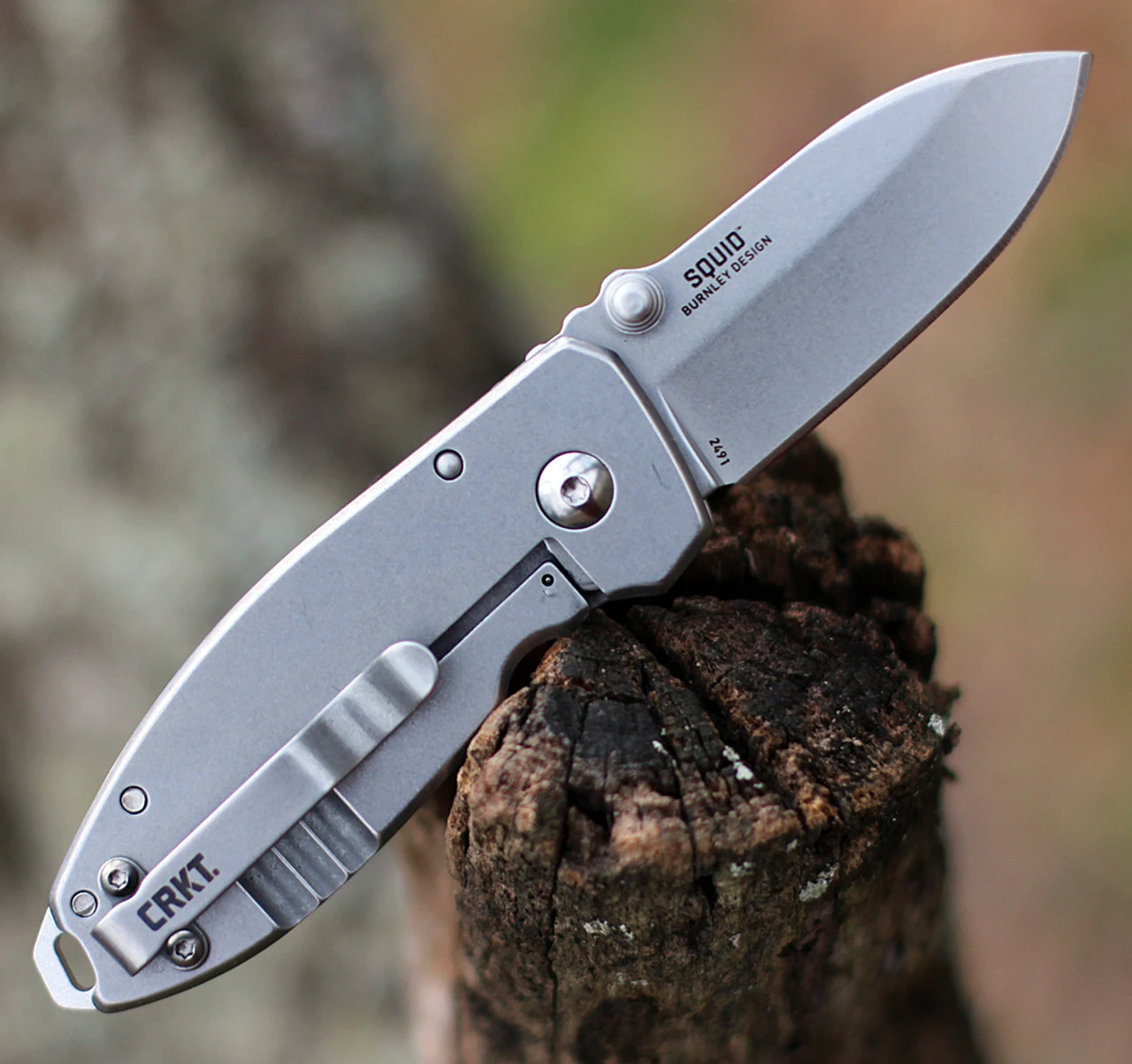 CRKT 2491 Squid Folder, 2.25" Stonewashed 8Cr14MoV Plain Blade, Stainless Steel Handle - Image 2